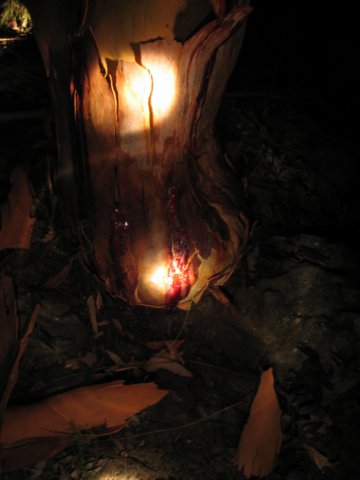img_0017_annan.jpg