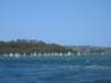 img_0043_small.jpg