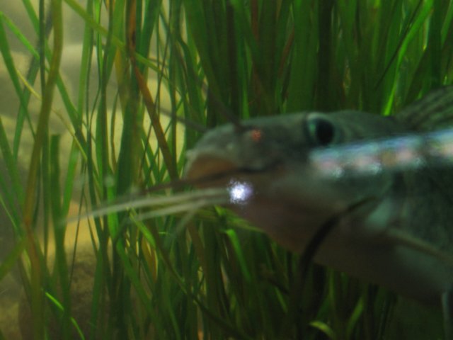 img_0059.jpg