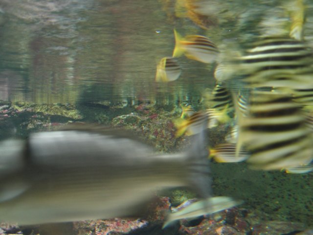 img_0074.jpg