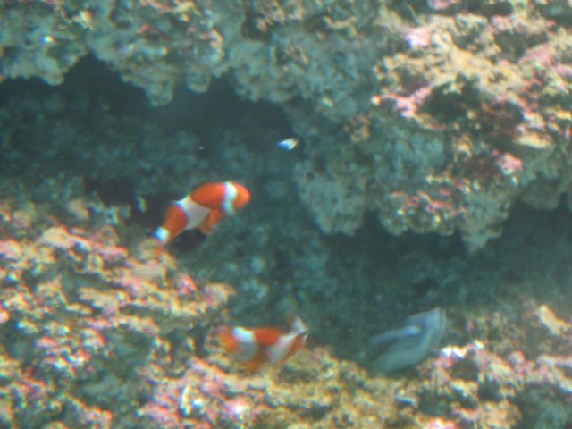img_0099.jpg