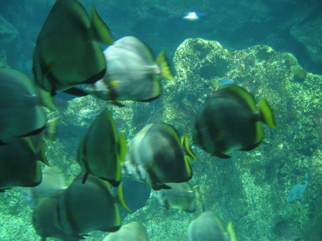 img_0101.jpg