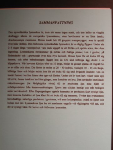 sammanfattningomlysmaskar.jpg